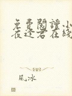 免费阅读小说此夜逢君在线阅读全文