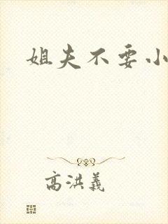 姐夫不要小说