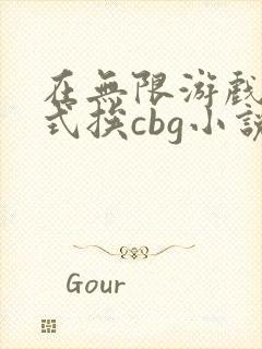在无限游戏里花式挨cbg小说
