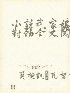 小说我家娘子不对劲全文阅读免费