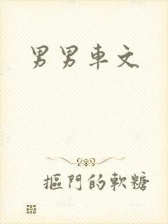 男男车文封面