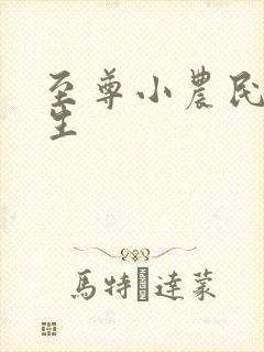 至尊小农民王木生