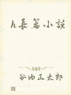 h长篇小说