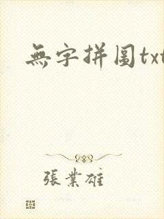 无字拼图txt