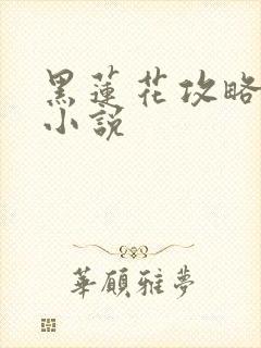 黑莲花攻略手册小说