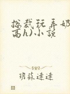 总裁玩弄奶头(高h)小说封面