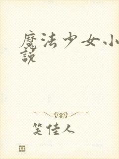 魔法少女小圆小说