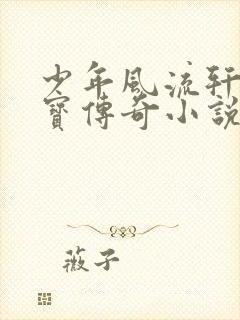 少年风流轩辕大宝传奇小说