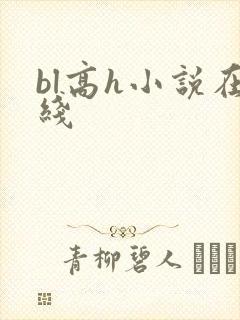bl高h小说在线
