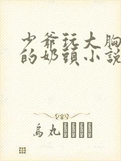 少爷玩大胸女仆的奶头小说封面