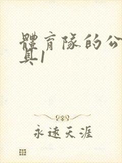 体育队的公用玩具1