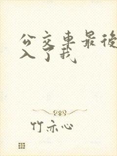 公交车最后一排入了我