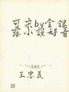 可宋by金银花露小说好看吗