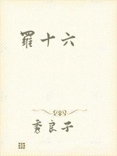 罗十六封面
