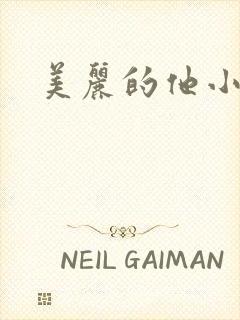 美丽的他小说封面