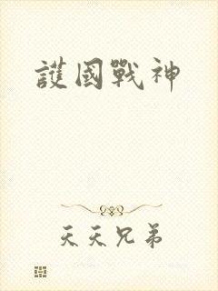 护国战神封面