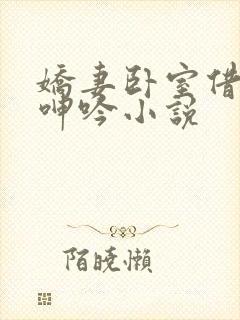 娇妻卧室借种的呻吟小说