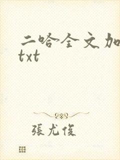 二哈全文加番外txt