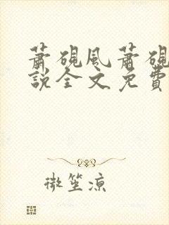 萧砚风萧砚风小说全文免费阅读封面