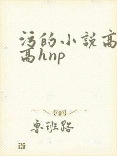 污的小说高细节高hnp