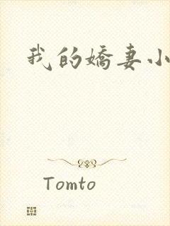 我的娇妻小说