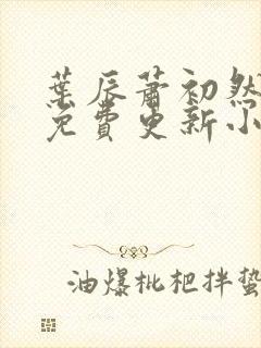 叶辰萧初然最新免费更新小说