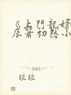 《上门龙婿》叶辰萧初然小说