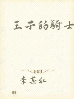 王子的骑士小说