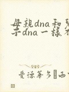 母亲dna和儿子dna一样不封面