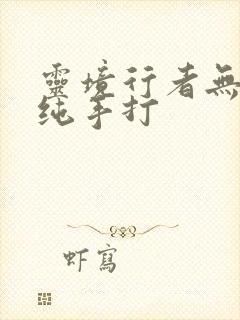 灵境行者无错字纯手打封面