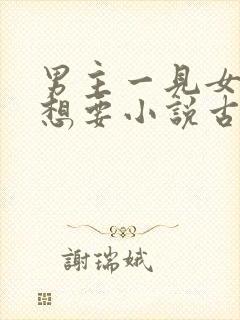 男主一见女主就想要小说古言封面