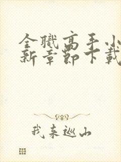 全职高手小说最新章节下载封面