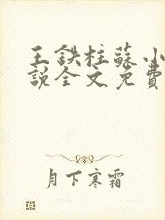 王铁柱苏小汐小说全文免费阅读最新章节