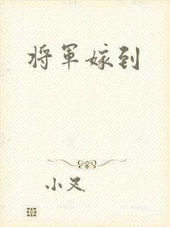 将军嫁到