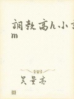 调教高h小说sm