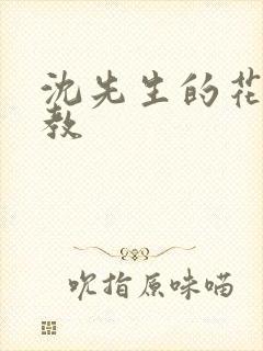 沈先生的花式管教封面