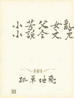 小芳父女乱系列小说全文免费阅读