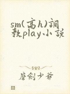 sm(高h)调教play小说