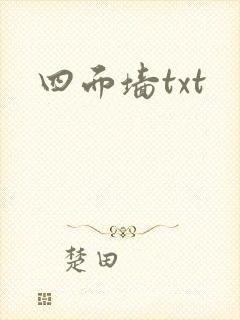 四面墙txt