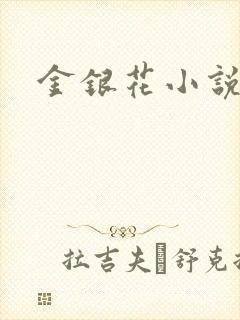 金银花小说乐可