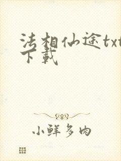 法相仙途txt下载