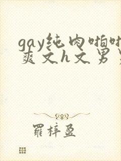 gay纯肉啪啪爽文h文男男np封面