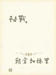 秘战