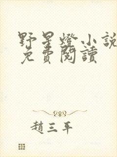 野星灯小说全文免费阅读