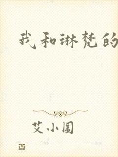 我和琳梵的故事封面
