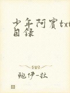 少年阿宾txt目录封面