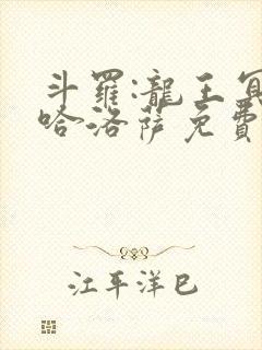 斗罗:龙王冥帝哈洛萨免费阅读