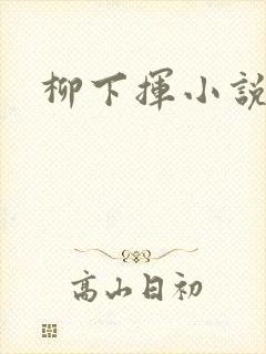 柳下挥小说封面