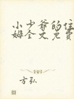 小少爷的住家保姆全文免费阅读全文笔趣阁封面