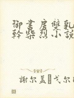 御书房双乳晃动干柴烈小说